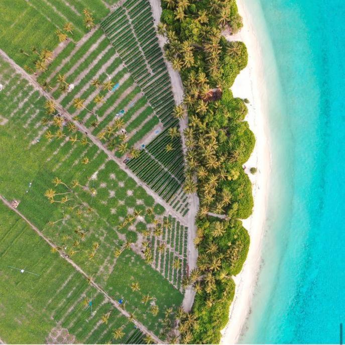 Kingsway Thoddoo Maldives Hotel Exterior foto